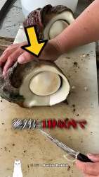 2829683 B