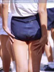 82644 B