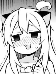 45978 B