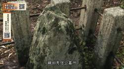 564699 B