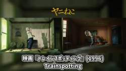 6313342 B