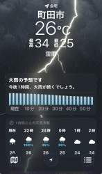154782 B