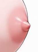 23683 B