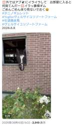 1219243 B