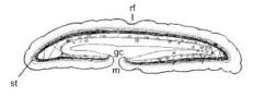 27298 B
