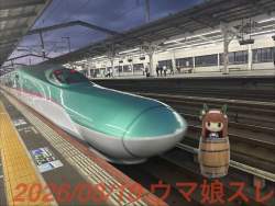 394582 B