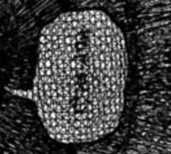 148662 B
