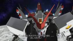 49079 B