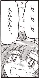 44233 B