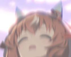 49706 B
