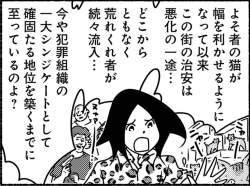 146277 B