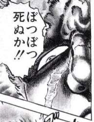48733 B