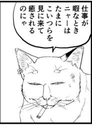 93354 B