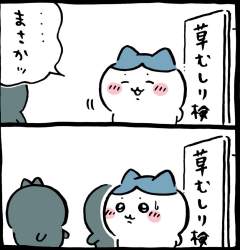 91021 B