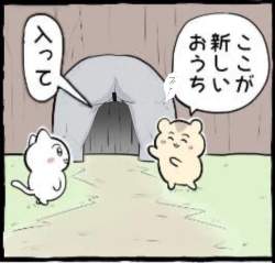 142883 B