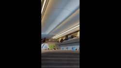 3714004 B