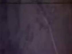 1689043 B