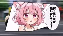4221546 B