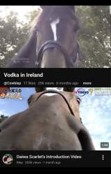 244864 B