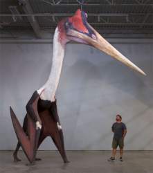 38821 B