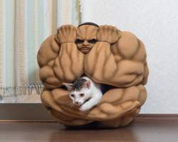 646781 B