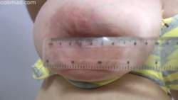295881 B