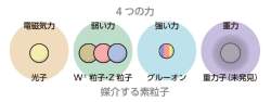 73425 B