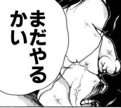 33566 B