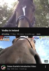 179825 B