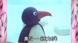8011 B