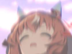 45579 B