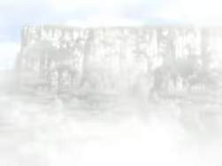 2040575 B