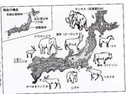 53754 B