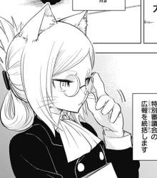 255981 B
