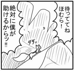 48955 B