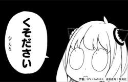 25636 B