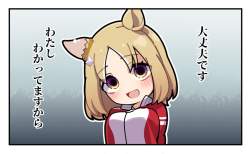 72333 B