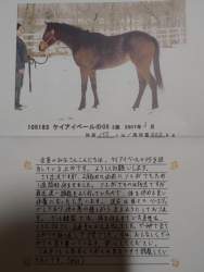 439133 B