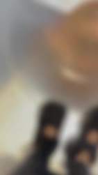3149367 B