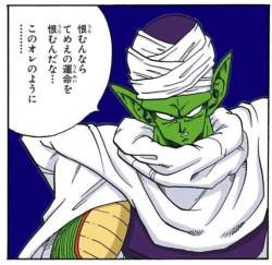 144846 B