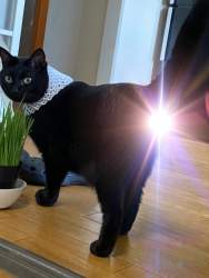 285590 B