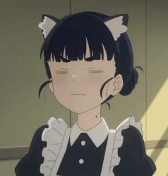 81542 B