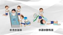32701 B