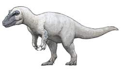78451 B