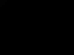 4877406 B