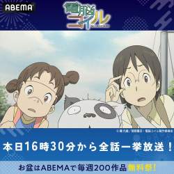205237 B