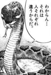 53306 B
