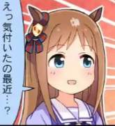78497 B