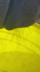 4276808 B