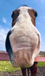 250649 B